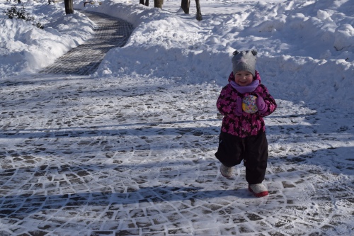 Милый... милый Хатико — Домашние фото авторских игрушек: Тедди