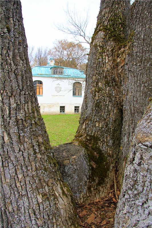 Усадьба Чукавино, Тверская область