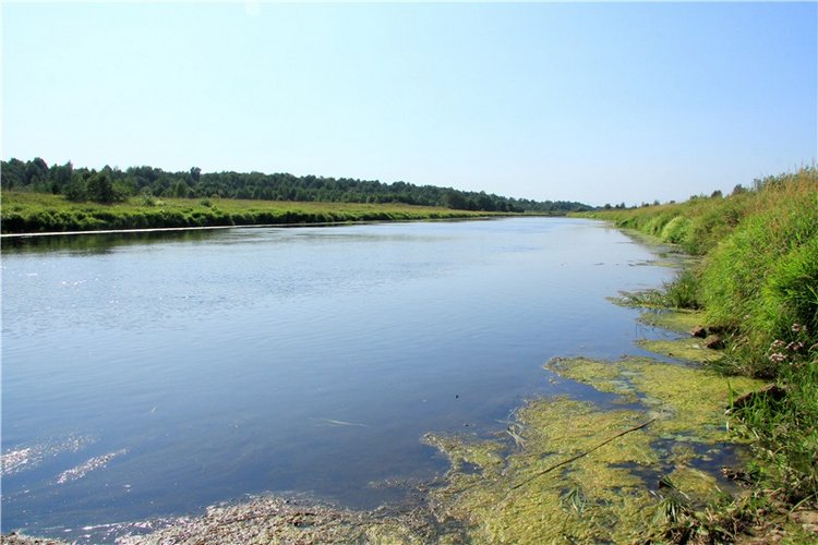 Инопланетянка Нийя. Custom Blythe Doll UFO Go Go Takara