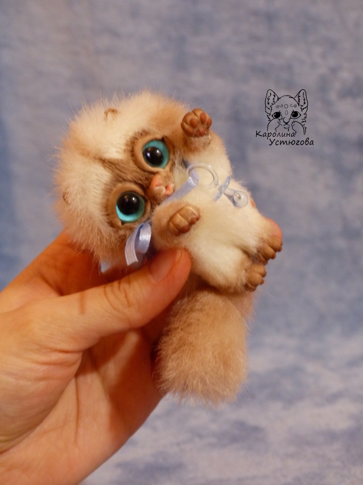 Сиамский котеночек-ребеночек