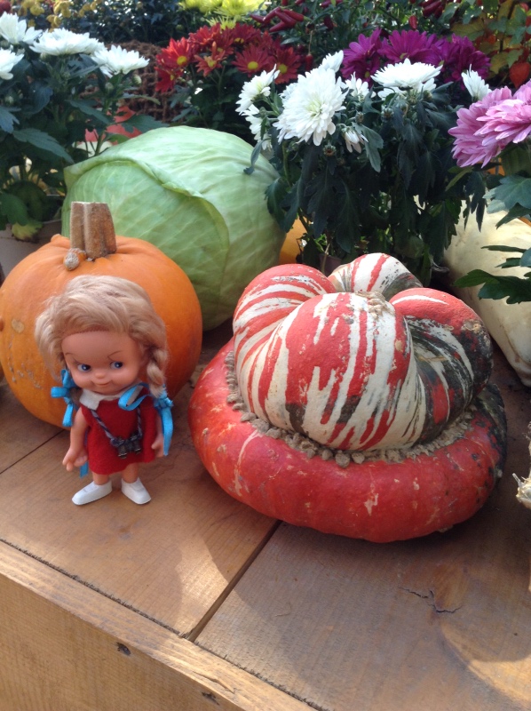 Аптекарский огород сегодня. ч.5. Грибной фестиваль