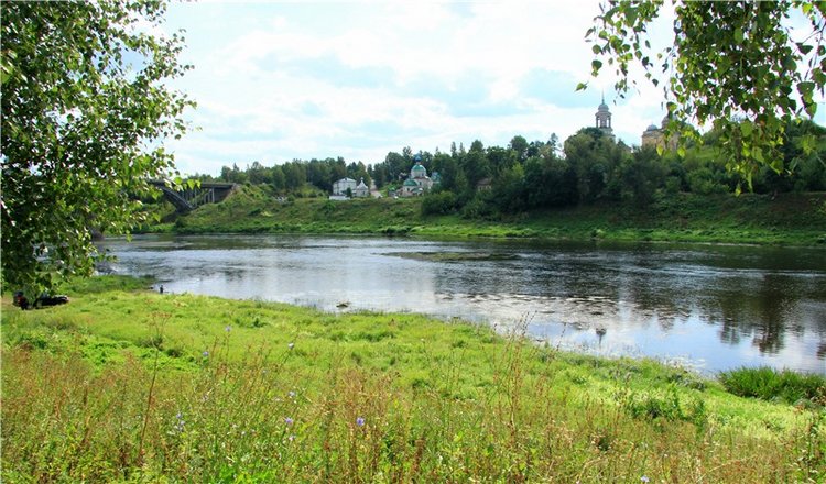 Августовская прогулка в Берново. Zwergnase Mischa