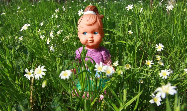 Встреча с бабочкой — Винтажные куклы ГДР (Немки): Бигги (фото 6)