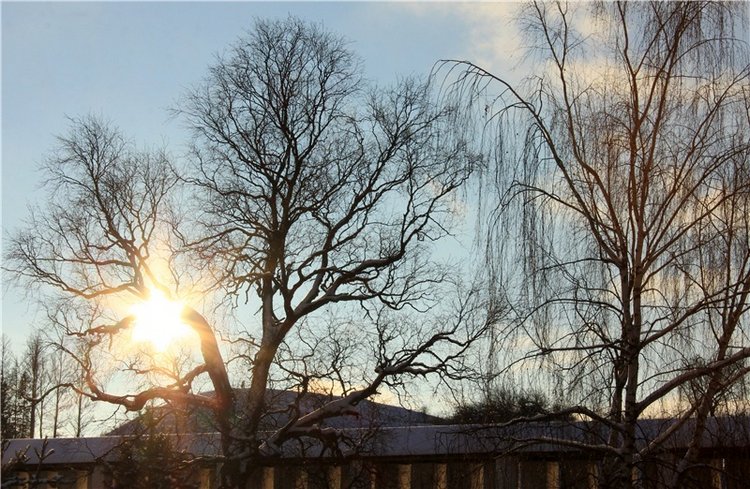 Счастливого Рождества! Старица, Свято-Успенский мужской монастырь