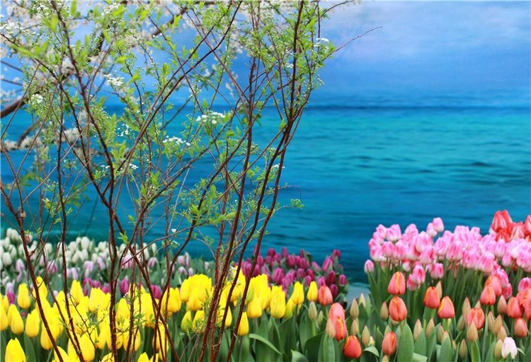 Тюльпановый Рай, продолжение. Выставка тюльпанов в Твери. Mini Layla elf Sunkissed skin от Kaye Wiggs