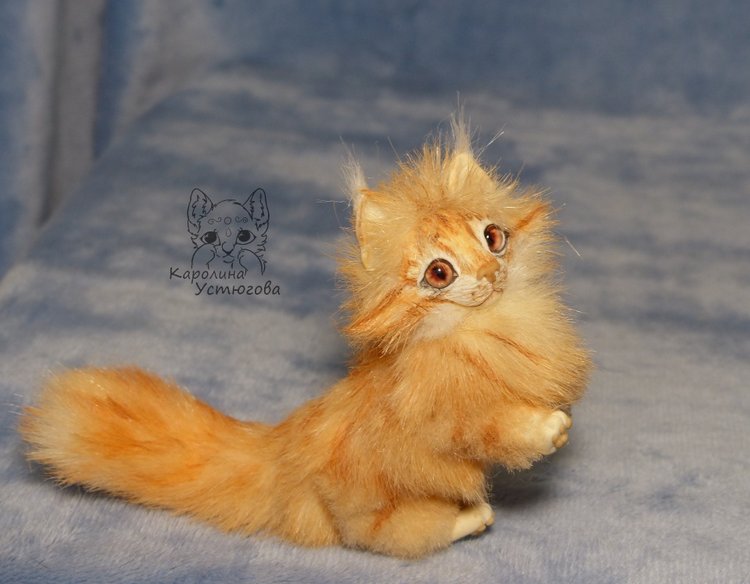 Мейн-ку́н, миниатюра. Рыженький (фото 4)