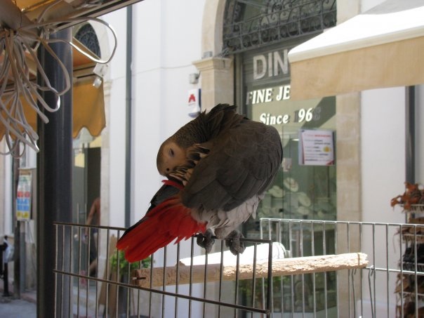 Путешествие на о. Кипр — Туризм и путешествия: фотоотчеты из поездок