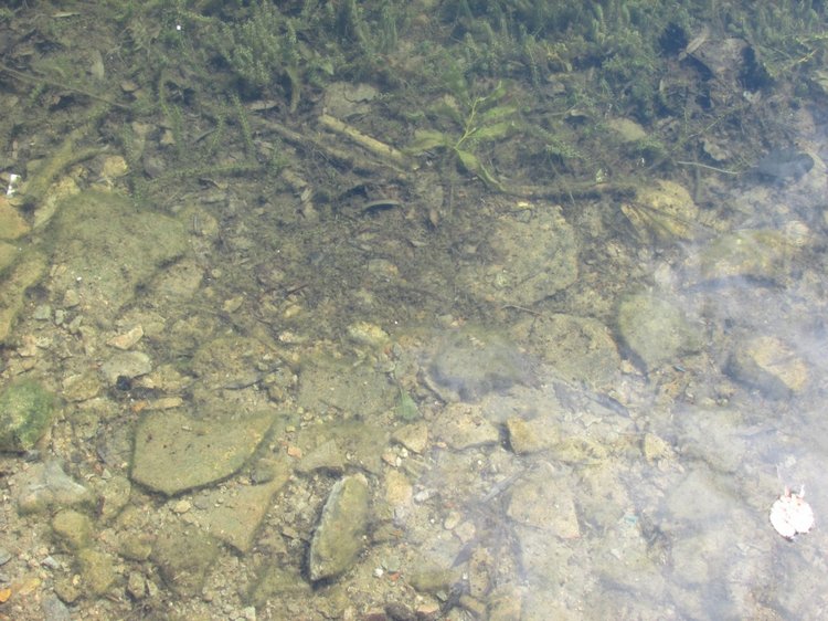 Моя кукольная семья на прогулке в Измайловском Парке (фото 2)