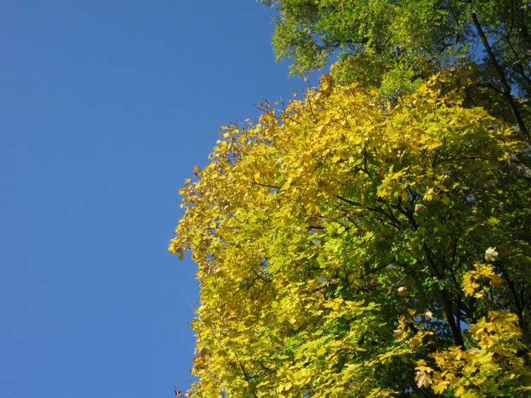 Выходной с Хеленой в Таганроге