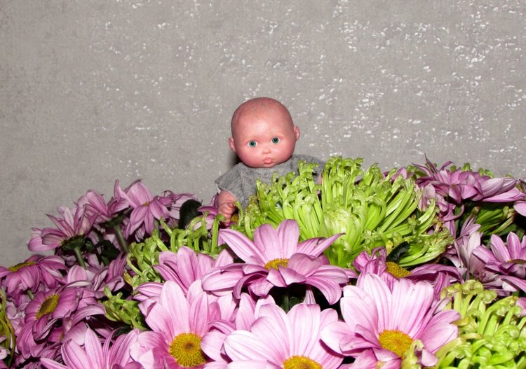 " В листочках зимних Хризантем" (фото 9)