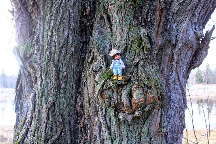 Тверской "Луксор" — Куклы Meadow dolls (Медовушки): BJD (БЖД)