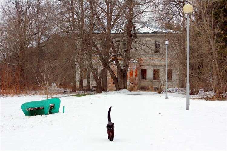 Путешествие в первый день Весны (фото 5)