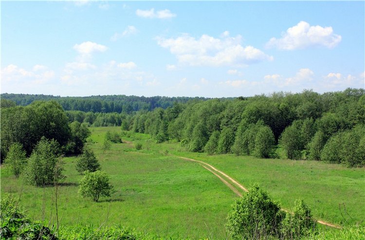 Эля в Иванишах. Twinkles Ella Chocolate