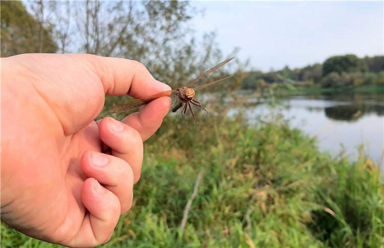 "Бабье Лето" на Водопаде, продолжение