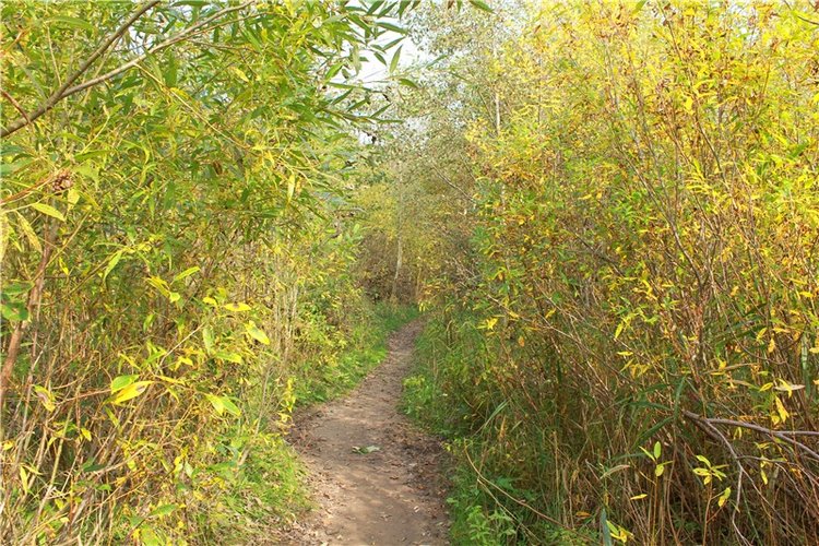 "Бабье Лето" на Водопаде, продолжение