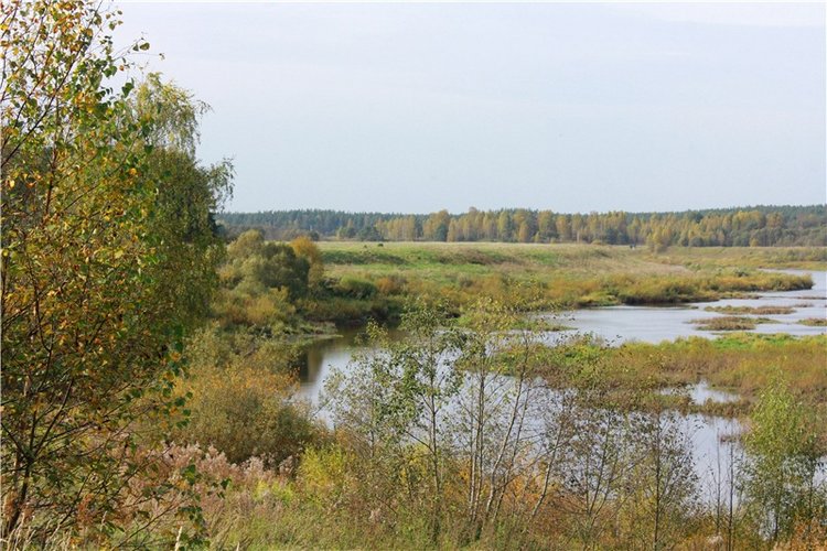 Путешествие Имани на Волгу, продолжение. Mini Imani от Kaye Wiggs