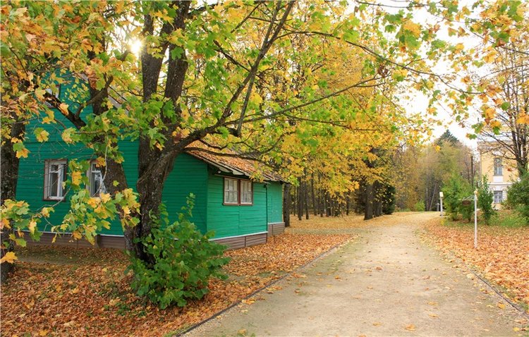 Золотая Осень в Берново с Имани. Mini Imani от Kaye Wiggs (фото 3)