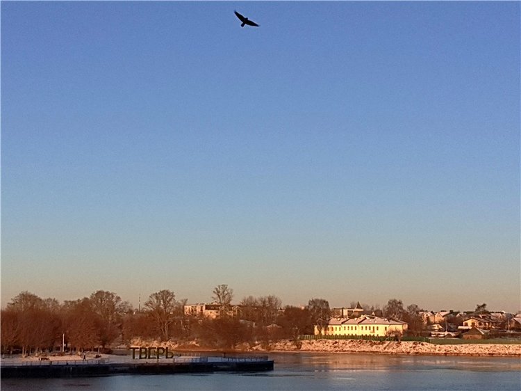 Декабрьская Тверь — Туризм и путешествия: фотоотчеты из поездок
