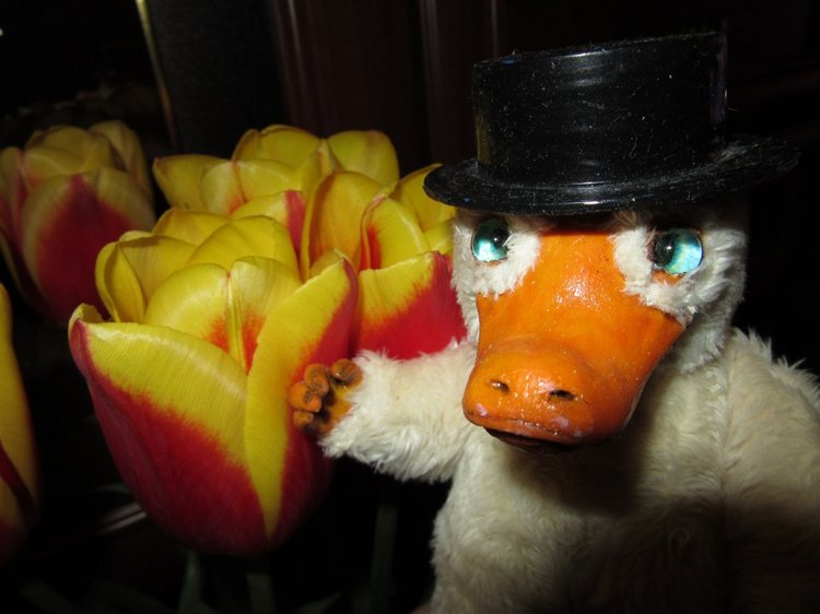 Великолепный Тыр и его новый друг (фото 6)