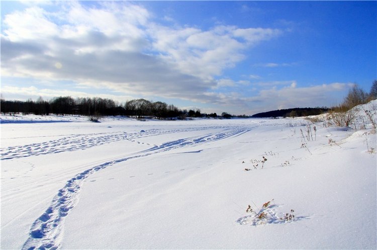 Зимняя прогулка Сони. Уникальная кукла от Сильвии Наттерер