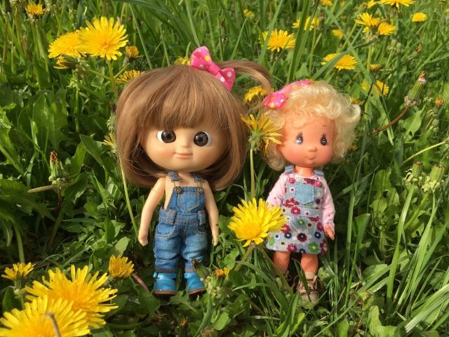 Поездка на дачу с Mui-chan, Migliorati и Sonny angel