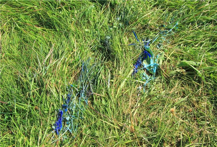 Инопланетянка Нийя. Custom Blythe Doll UFO Go Go Takara