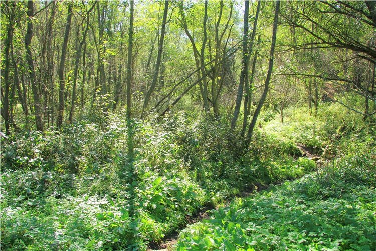Старицкая Швейцария. Старицкие пещеры, д. Толпино, заключительная часть