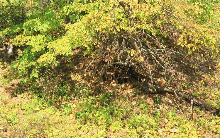 Старицкая Швейцария. Старицкие пещеры, д. Толпино, заключительная часть