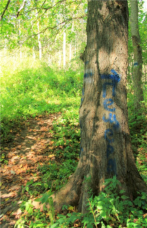 Старицкая Швейцария. Старицкие пещеры, д. Толпино, заключительная часть