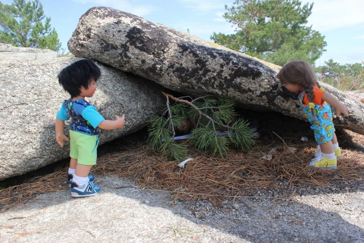Базовичок обыкновенный. Дикий, но симпатичный | Бэйбики Базовичок обыкновенный. Дикий, но симпатичный