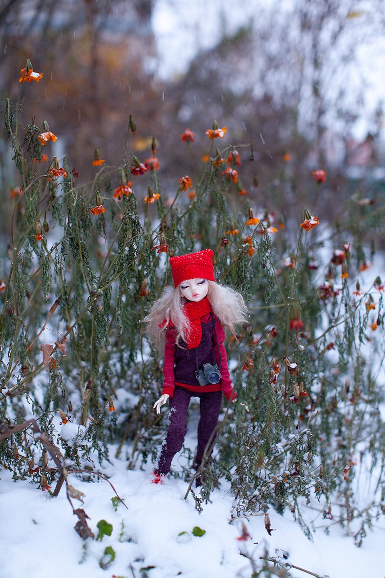 Когда хорошая погода — Куклы DIM (Doll in Mind): корейские BJD (БЖД) (фото 9)