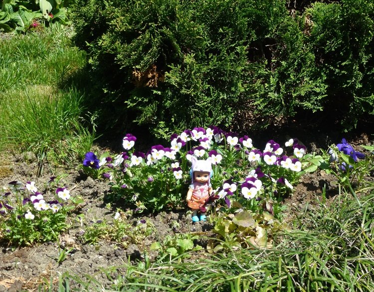 Сочи-Адлер: Южное Взморье - Мои любимые куколки на отдыхе