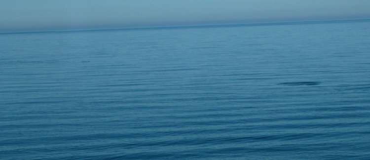 Сочи-Адлер: Южное Взморье - Красоты Черного Моря