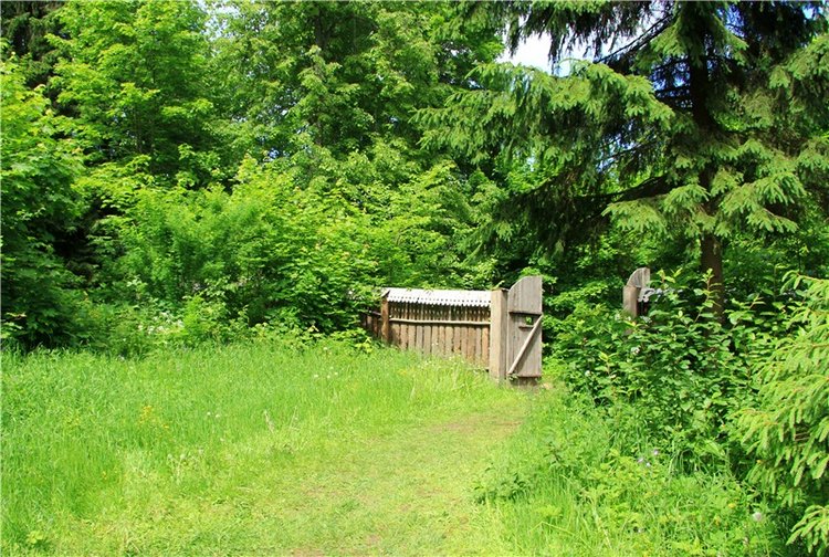 "Троицкие гуляния" в Василёво, 2018 год. Архитектурно-этнографический музей под открытым небом Василёво