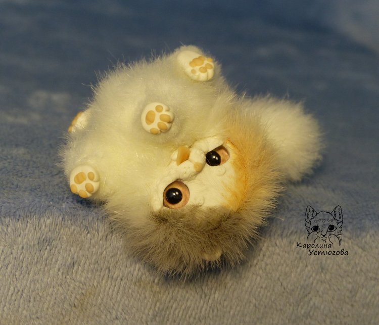 Три котенка Джейн, Пирожок и Апельсинчик