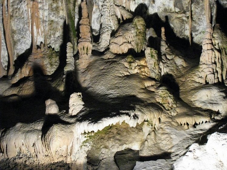 Незабываемая экскурсия по Словении: Постойная Яма и Предъямский замок (фото 4)