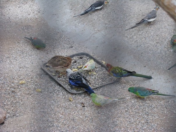 Путешествие на о. Кипр — Туризм и путешествия: фотоотчеты из поездок