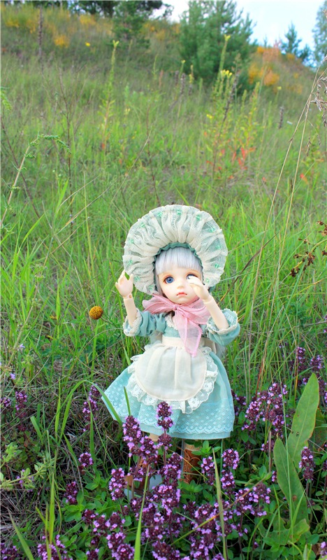 Живая Кукла. Колетт (Colette 2.2 от Soom Neo Angelregion) (фото 8)