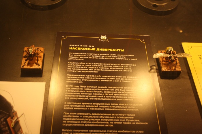 Петербург. Музей НЕправды (18+). Часть 1