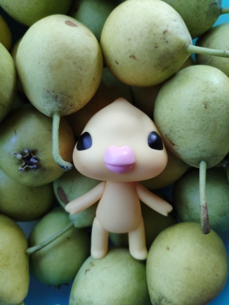 Попугайчик Kotoribir — Коллекционные куклы разных авторов (Разное): редкие бренды (фото 6)