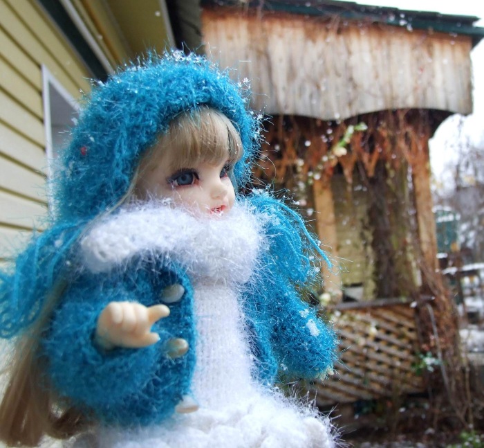 Утром кот принёс на лапах первый снег (фото 9)