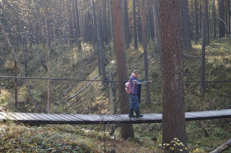 Хотите прогуляться по нашему городу? А за город - по экологической тропе (фото 10)