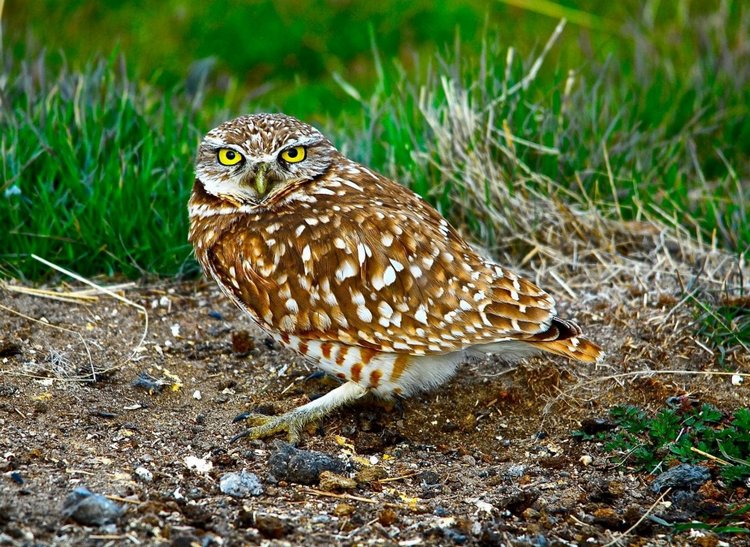 Любителям природы - профессиональные фотографии (выпуск 4)