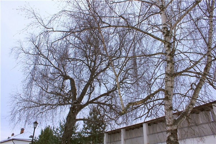 Рождественская Старица — Туризм и путешествия: фотоотчеты из поездок