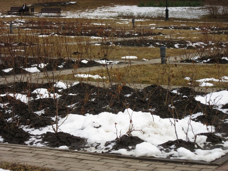 Кисловодские приключения. Шо, опять (фото 10)