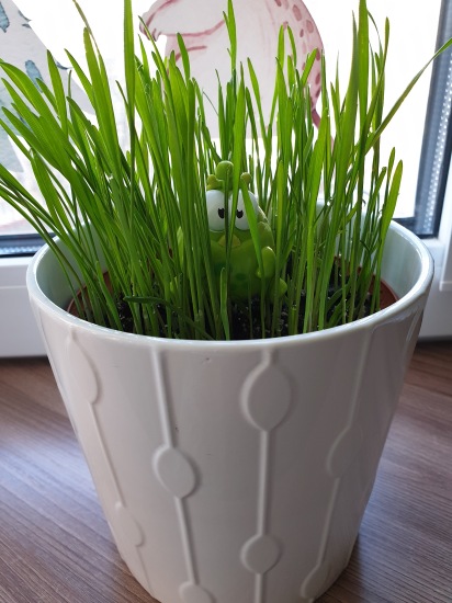 Любимые фигурки — Интересные игрушки и фигурки (разное): редкие (фото 5)