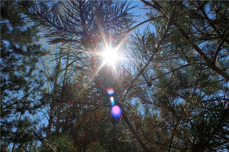 Долгая дорога к Волге. Custom Blythe Doll UFO Go Go Takara