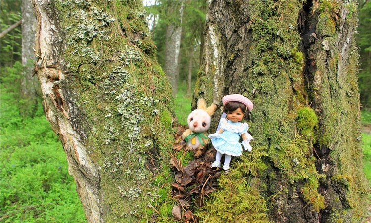 Ландышевый Лес. Twinkles Ella Chocolate