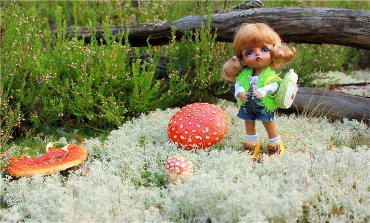 "Аманита". Aoi Yukimura Third Season 1/7 PVC figure