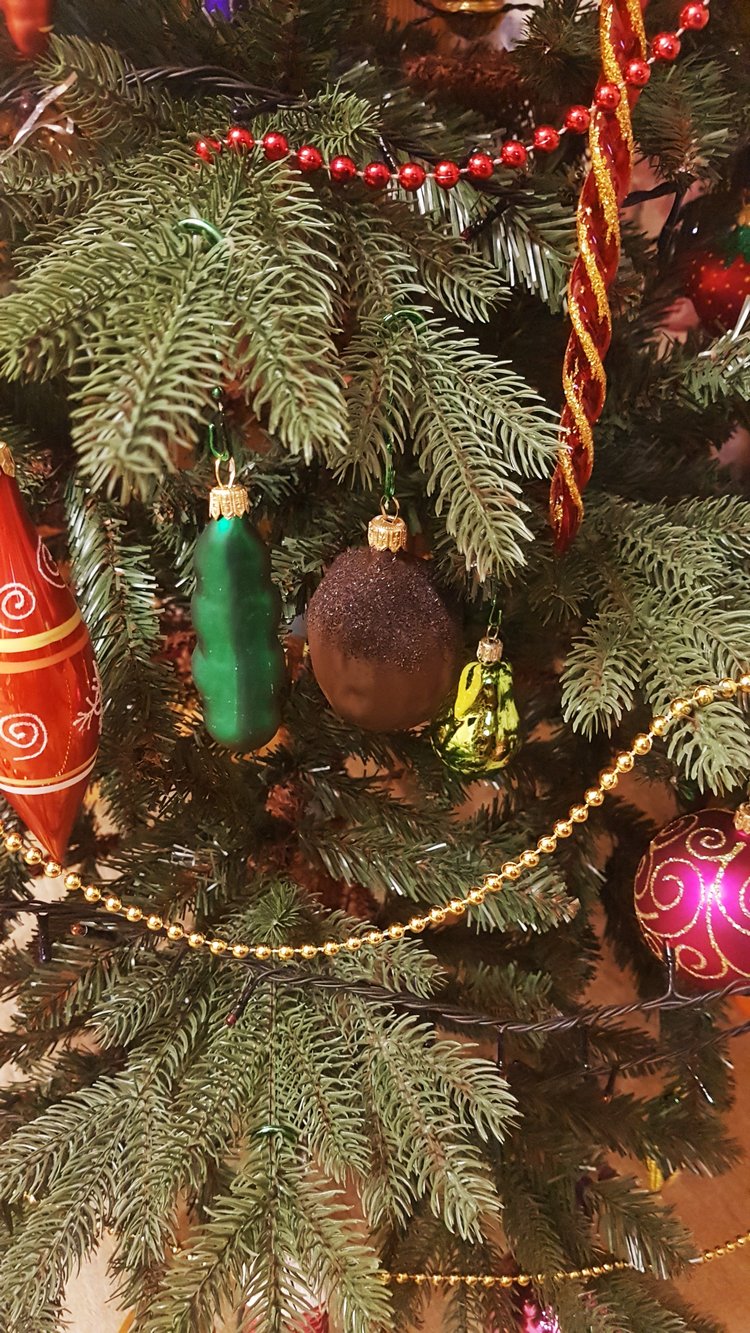 В степи родилась ёлочка, в жару она росла